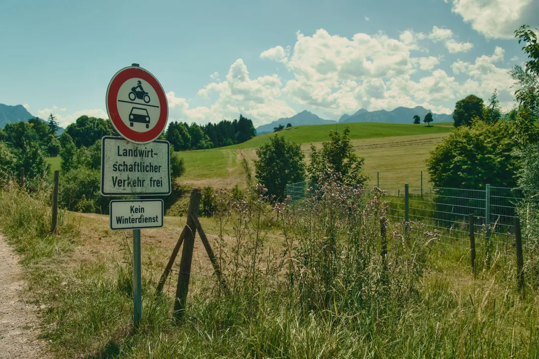 Weg am Wiesenrand vor Wald und Alpenkette, wie sie den Zuzug ins Umland empfängt